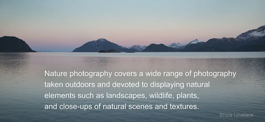 Want to take better pictures of nature? These simple nature photography tips are sure to help you take better digital photos with your camera.