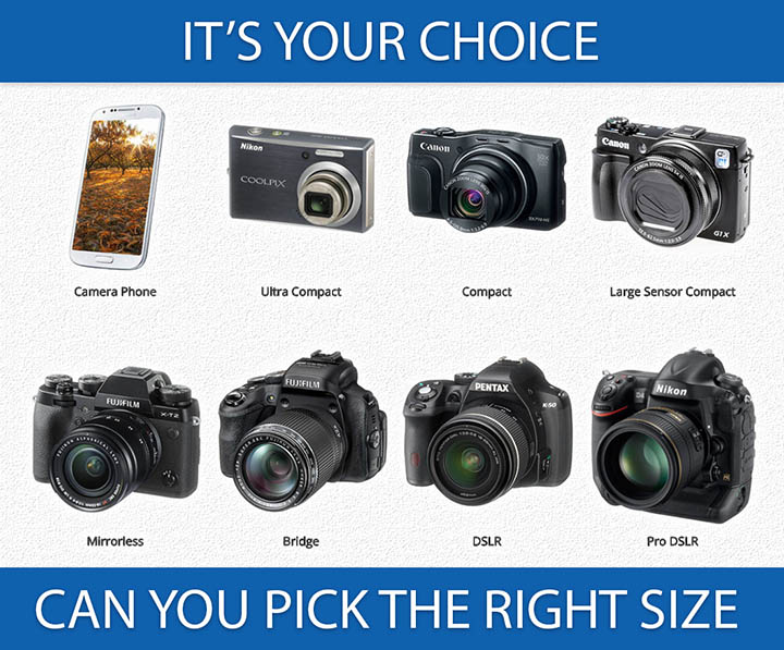 How to Choose the Best Digital Camera For You